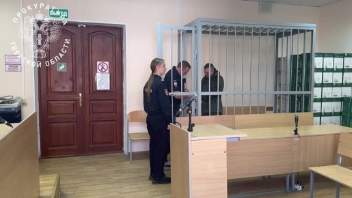 Суд арестовал 37-летнего уроженца Тамбовской области по обвинению в мошенничестве (ч. 4 ст. 159 УК РФ)