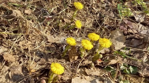 Синоптики рассказали, ждать ли дождей на новой неделе в Тверской области