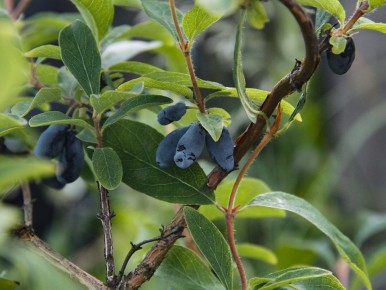 ��� ��������� ������������� ��������� ��� ��������� ������