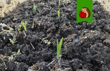 ��� ��������� ��������� �� ������ �������� ��� ��������� ������