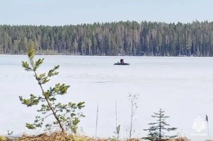 В озере Торопецкого округа нашли тело мужчины