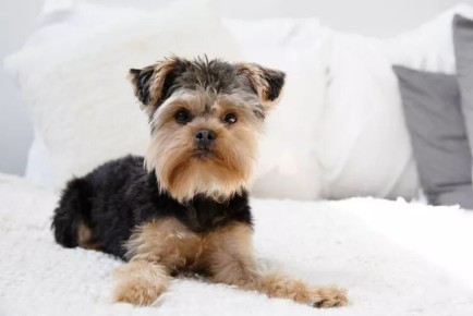 ��� �������� ����� ������ � ����: 8 ����������� ��������