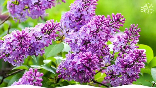 ������: �������� ��� ������ ����