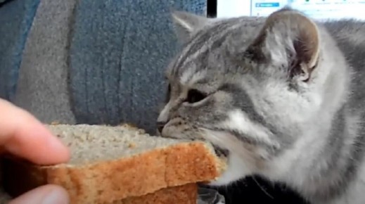 ���� � ����: ��� �� ���� ������ ��������?