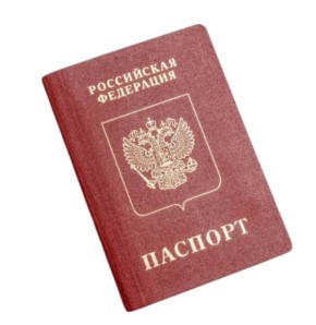 Татьяна Москалькова: Помогли соотечественнику получить российское гражданство