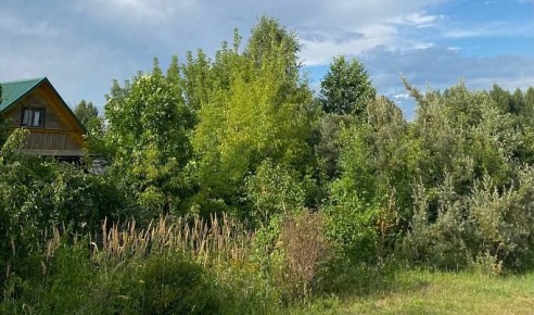 �� 3 ������ � �������� ������� ����������������� ����� 12 ����� ������ ������ �����������������