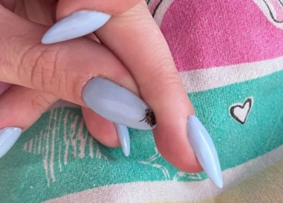 ������: � �������� ������� ������� ����� �� ���� ��� � ������