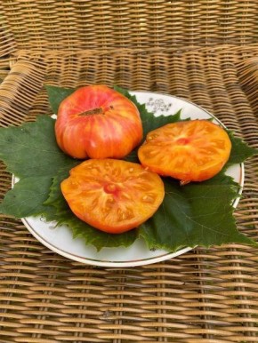 ����� �������� ������: ��� �������� ������ � �������� �������