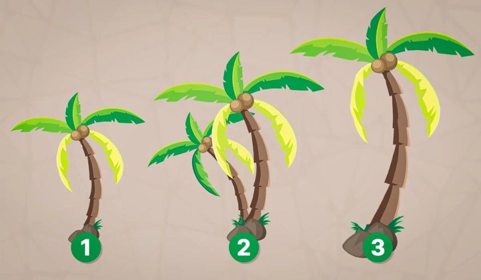 Каков ваш уровень спокойствия: откройте для себя уникальный тест на личность