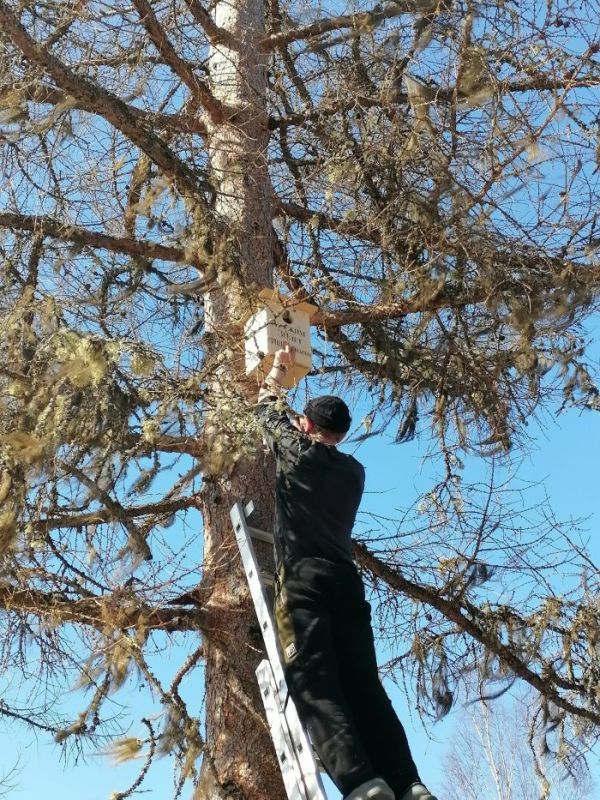 � �������� ������� ����������� ���������� ��� ��������