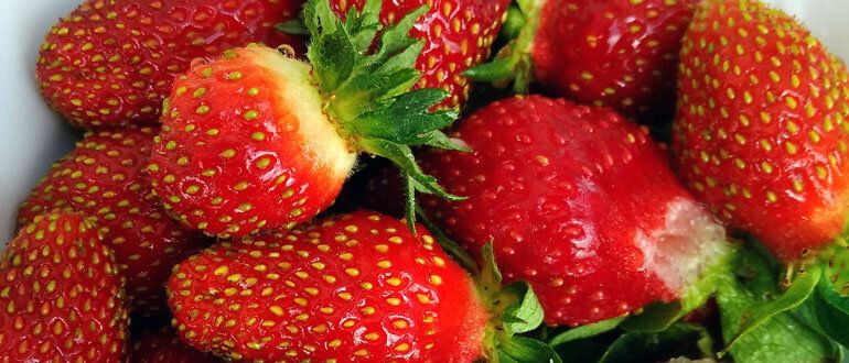 ���� �� ���������� ������: ������� ��������� �����