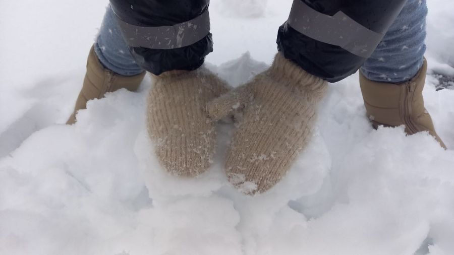 Сюрпризы погоды: когда в Тверскую область вернется снег