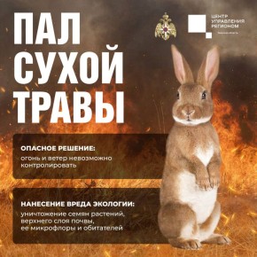 �� ���������� �������� ������� ������� ����������� �� ���������� ������� �� �������