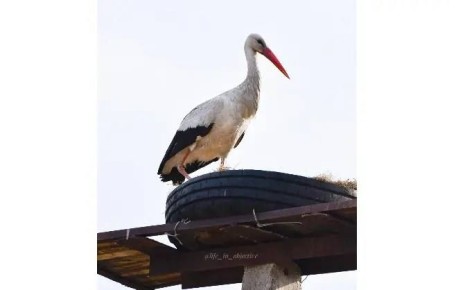 �������� ����� ������������ �����: ��� ��������� �� ������� ������� � ������� ����