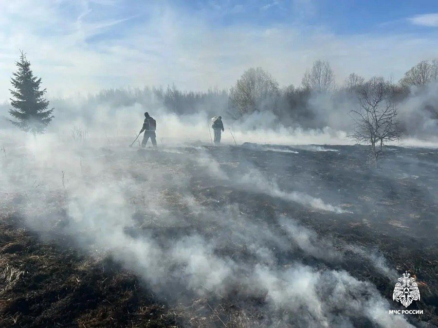 �� ���� � �������� ������� �������� ������ �����