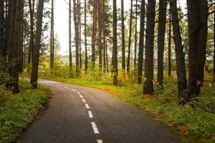 Маршруты путешествий по Тверской области вошли в путеводители Национального туристического портала Путешествуем.рф