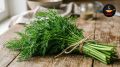 Как использовать остатки: три кулинарных идеи из стеблей укропа и чёрствого хлеба