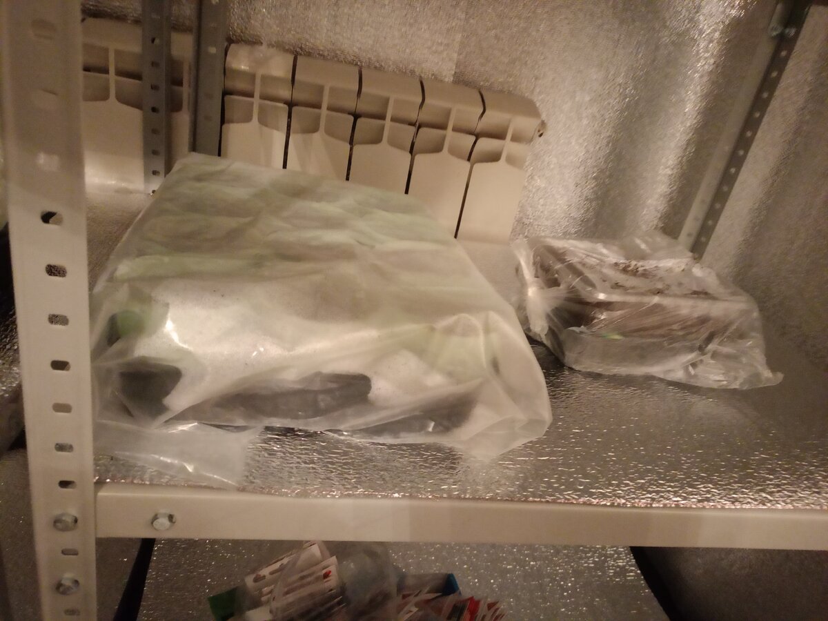 Эффективные шапочки для рассады: как защитить растения от пересыхания