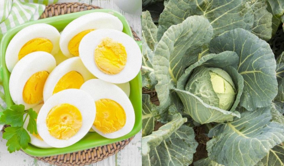 14 ��������������, ������� ������� ��� ������