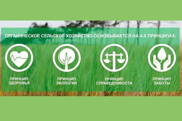 ��� ������� ��������� ������: ������� ������������� �������