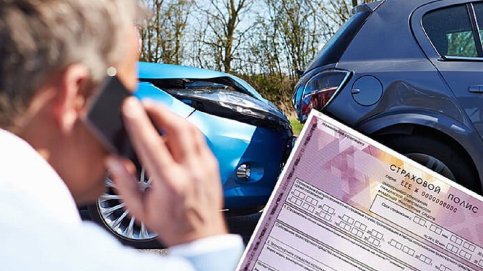 ����������� ������������ ���� �����������: ��� ����� ����� �� ����� � ���� ����