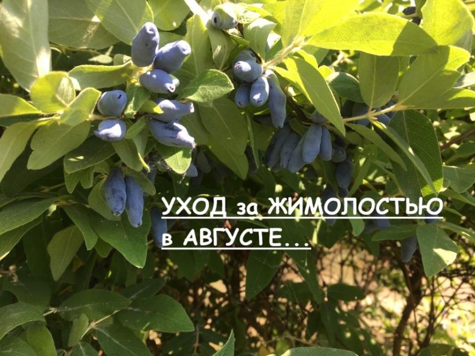 ���� �� ���������� � �������: ������� ������� ��� ������� ������ � ��������� ����