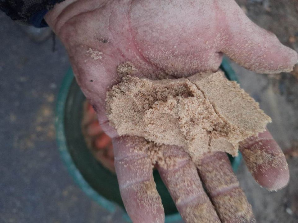 ����� ����� ������� ��� �������� �������: ������ � ������