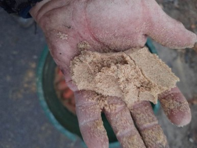 Какой песок выбрать для хранения моркови: советы и нюансы