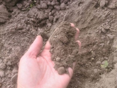 Как существенно улучшить покупной грунт для рассады