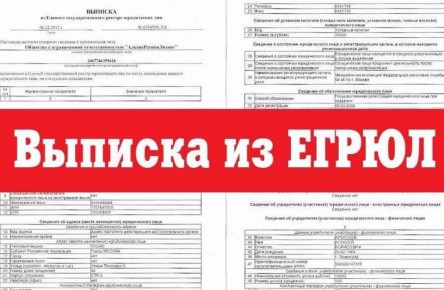 К новым стандартам прозрачности: как изменились правила выписок из ЕГРЮЛ