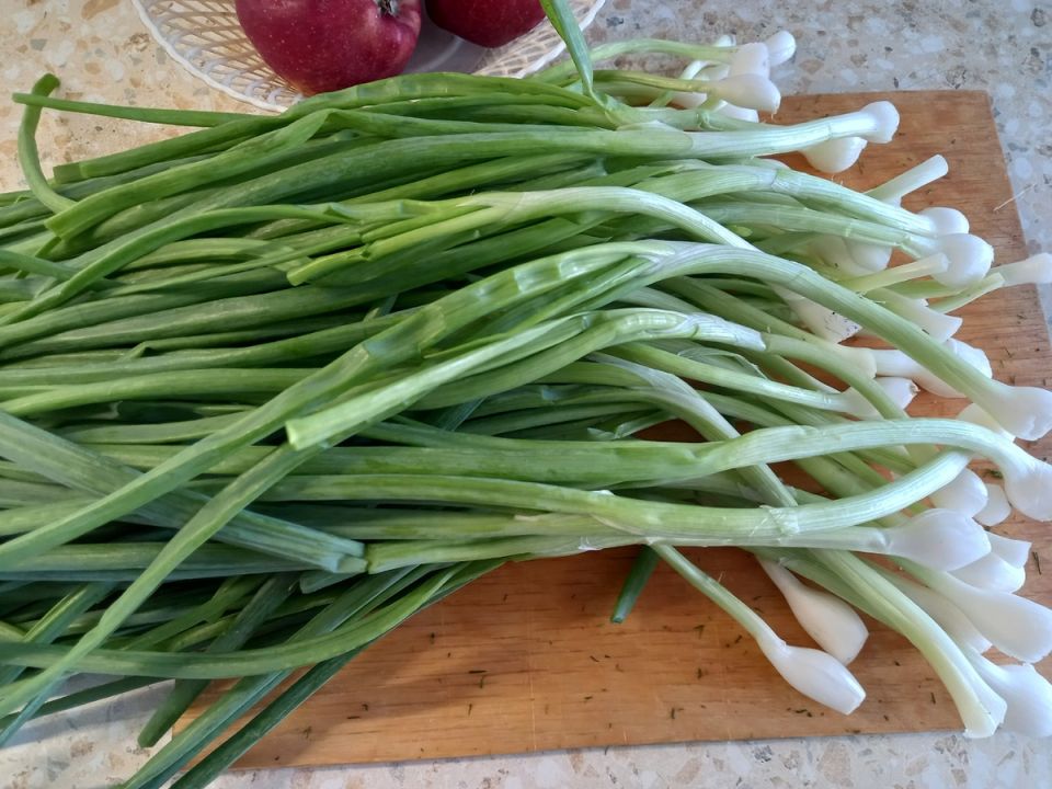 ������ ���������: ��������� ���� � ������