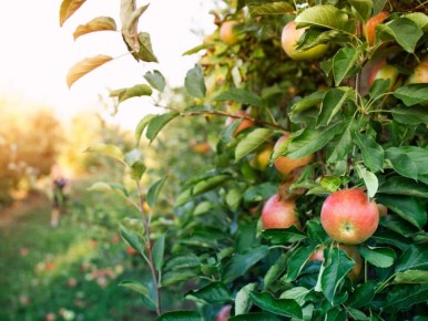 ������ ����: 10 ������ ������ �����, ������� �������� �������� � ���� ������