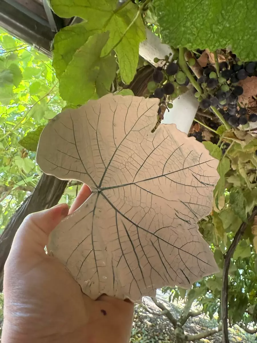 Погрузитесь в искусство керамики: мастерская «Зарни Ань» открывает свои двери для творческих душ