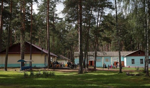 В Тверской области бесплатные путевки в летние лагеря предоставят детям из многодетных семей и другим категориям ребят