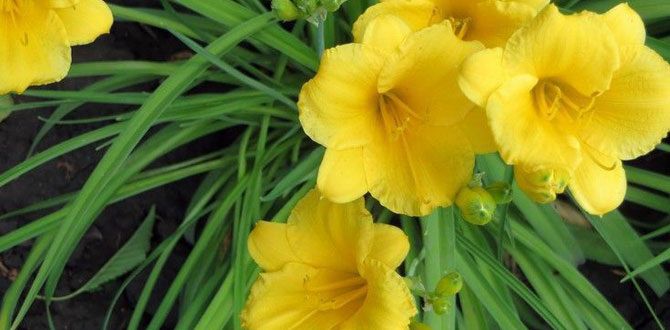 ���������� ������������ ��� �������� ����