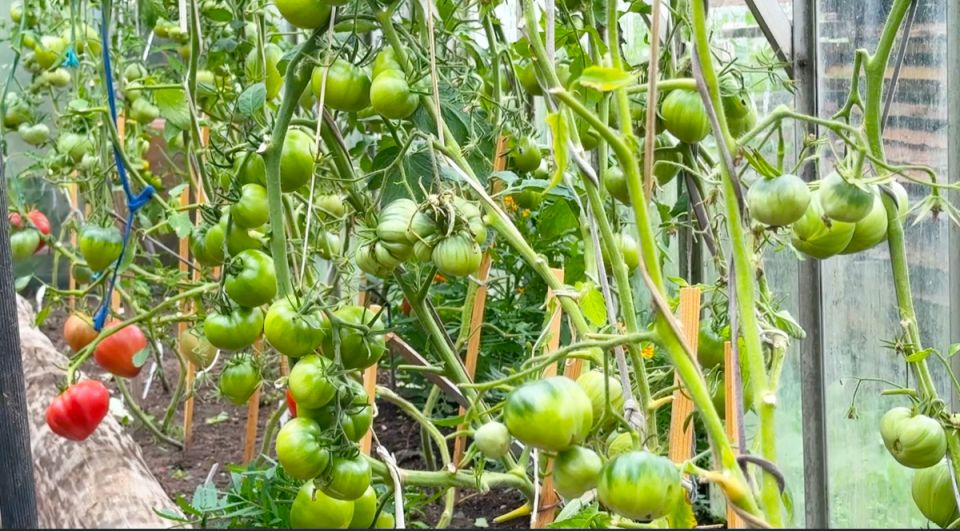 ������� ��������� ������: ��� ��������� ��������� ������� � ������� ����� ��������� ���� � 10 ���