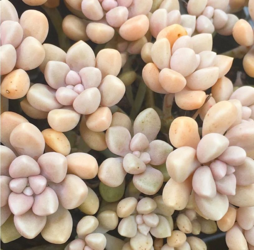 ����������: ��� ������� ��������� �������� ��� ������ ����