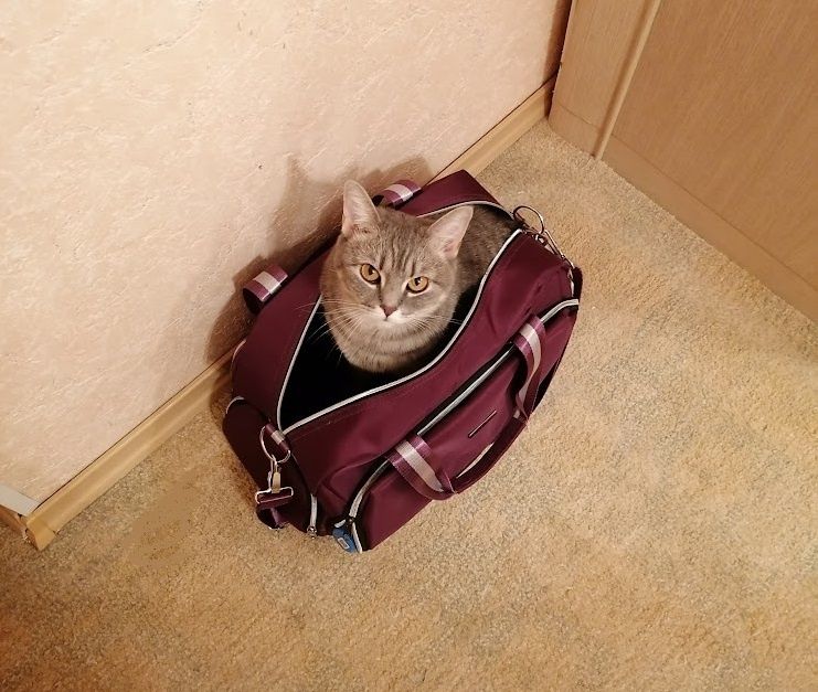 ����� ������� ���������� ������� ������: ���������� ��������