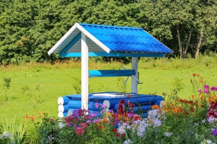 �������� �������: �� ������ �� �������� ����