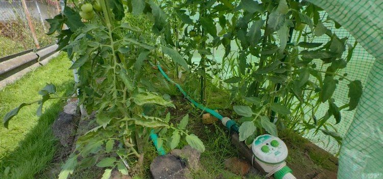 ��� ������������ ���������� �����: ������ ������ ��� �������� � �����������