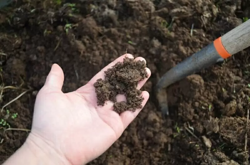 Как подготовить огород к зиме без навоза: 5 полезных советов