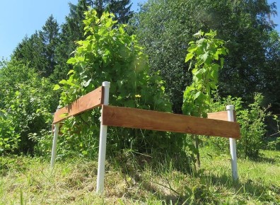 �������� ���������� ��� ������: ��� ������� �������� � ����������� ������� �������� �������