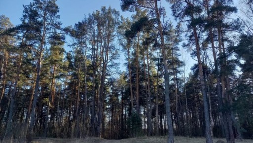 �������� ������� ���������, ��� ������ �������� ������ � �� �������