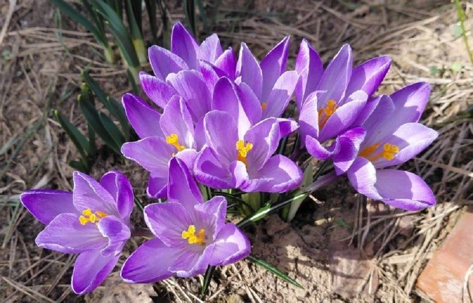 �� ����� ������ � �������� ������� ������ ����� � �����