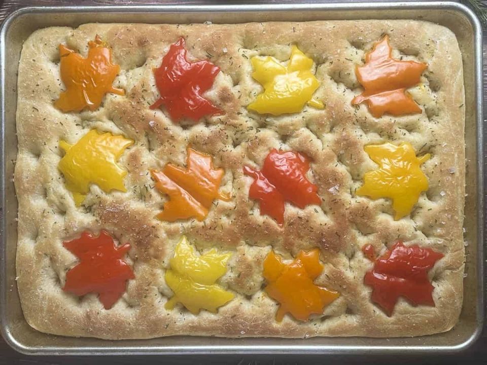 ������� ����� �� ����� �����: ������� � ��������� ��������