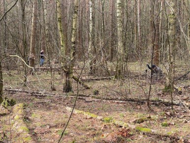 Тверские поисковики обследуют место падения советского самолета