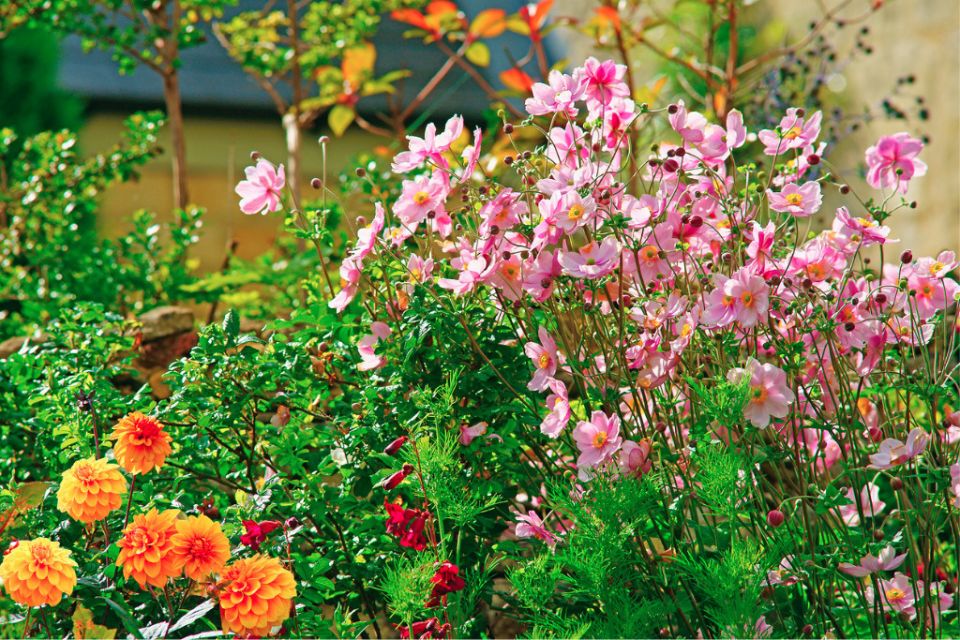 ������� �������: ������������ ���������� ������ � ����� ����