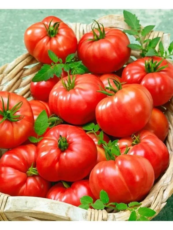 ����� ���������: ������������� ����� ��� ����� ������