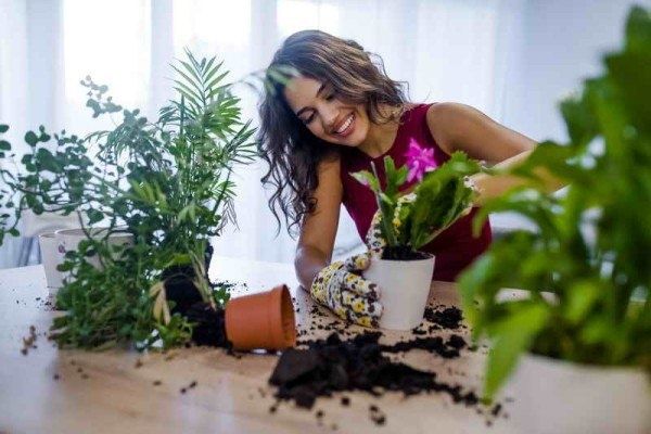 ������� ������ � �������� � �������: ��� ������ �������� ��������?