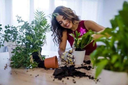 ������� ������ � �������� � �������: ��� ������ �������� ��������?